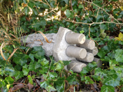 347849.thumb