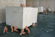 363040.thumb