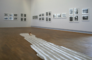 363041.thumb