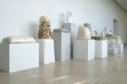 363046.thumb