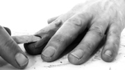 444974.thumb