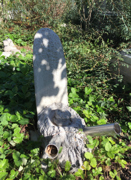 578204.thumb