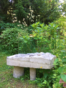 620352.thumb