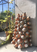 740502.thumb